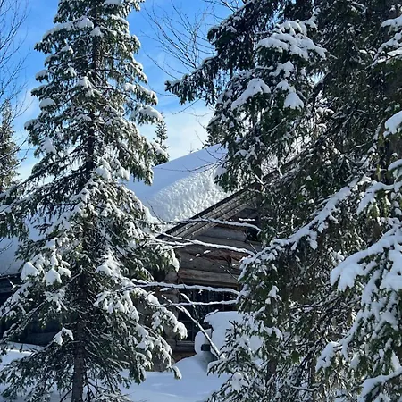 Lapland Log Ukko-kelo Dağ evi Luosto