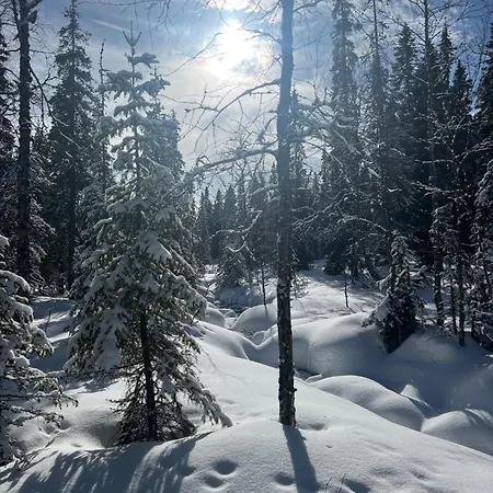 Dağ evi Lapland Log Ukko-kelo Luosto