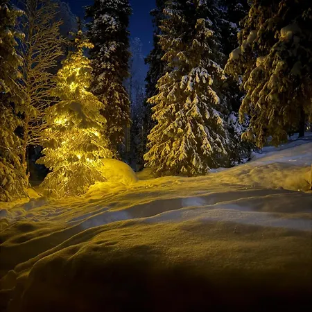 Lapland Log Ukko-kelo Dağ evi Luosto